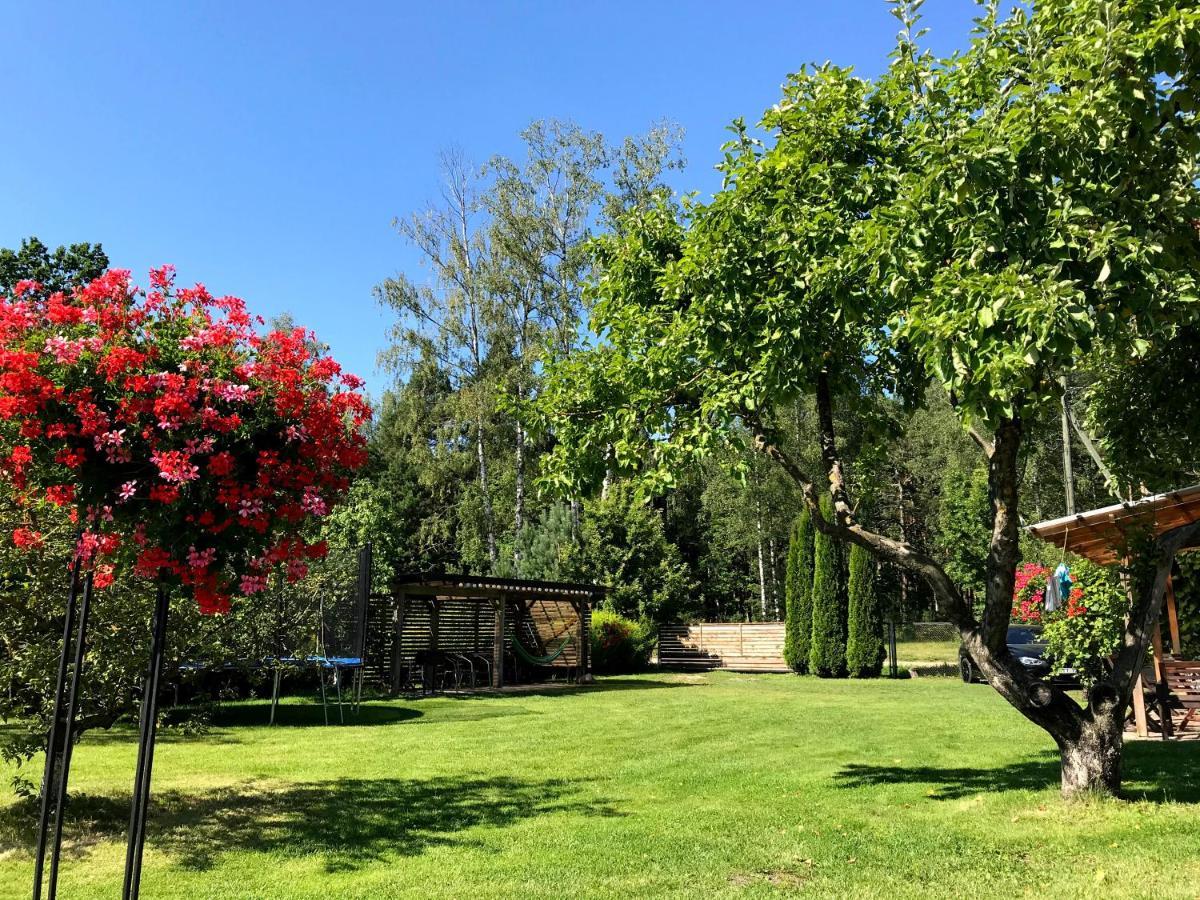 Beltes Guest House Jūrkalne Εξωτερικό φωτογραφία